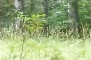 Fette Schlampe im Wald anal gefickt