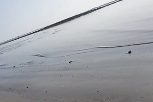 Nackt vor fremder Frau am Strand gewichst...